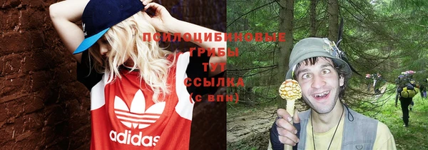 твердый Михайлов