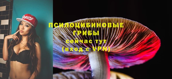 соль ск Михайловка