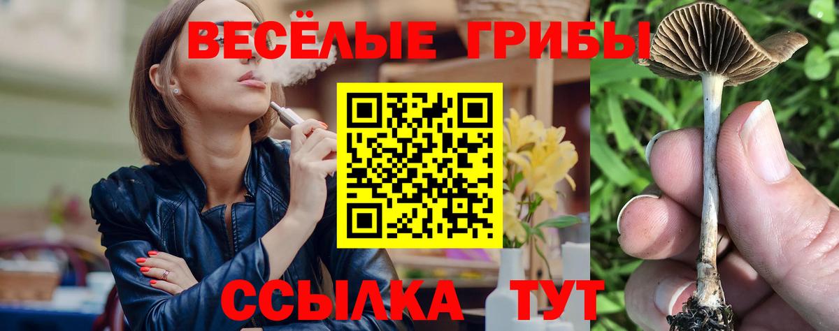 Галлюциногенные грибы мицелий Гагарин